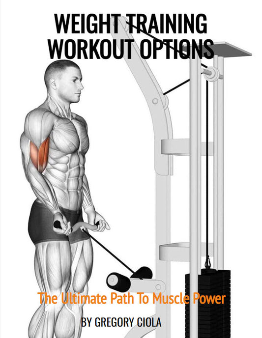 WEIGHT TRAINING WORKOUT OPTIONS - FREE E-BOOK